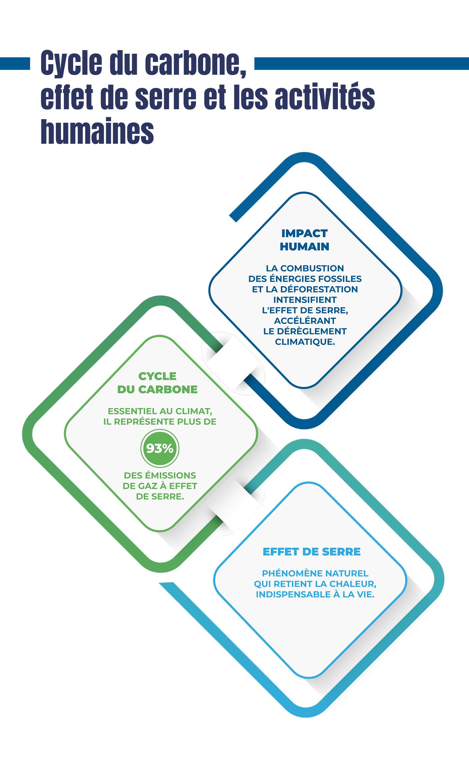 infographie du mois