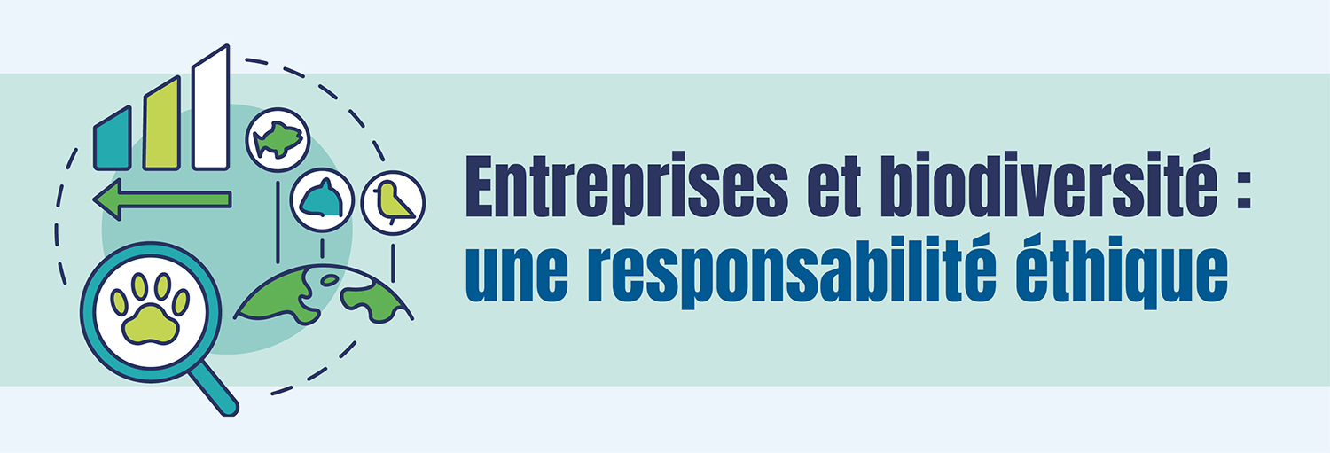 Illustration infographie RSE