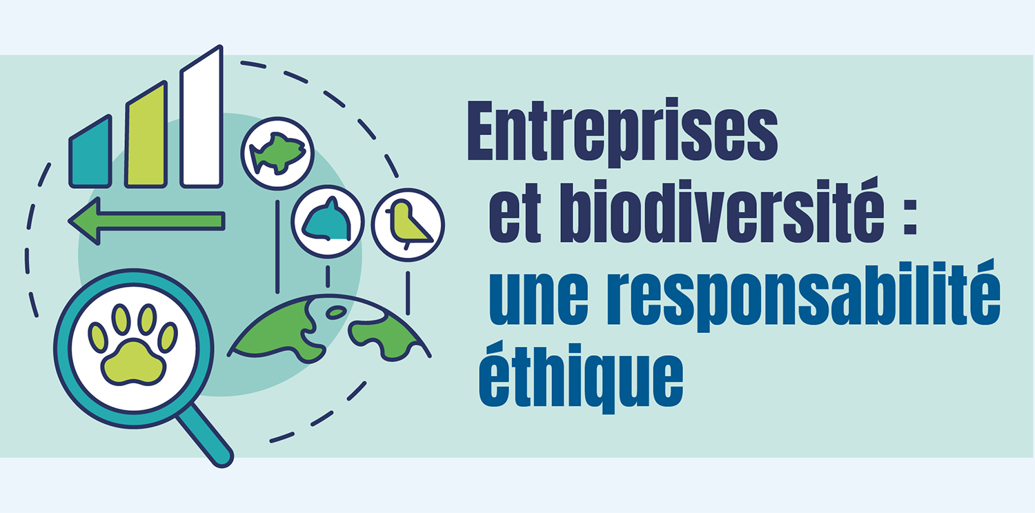infographie du mois